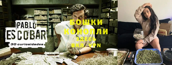 ПСИЛОЦИБИНОВЫЕ ГРИБЫ Армянск