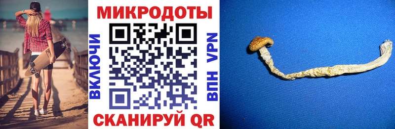 Галлюциногенные грибы прущие грибы  Шатура 