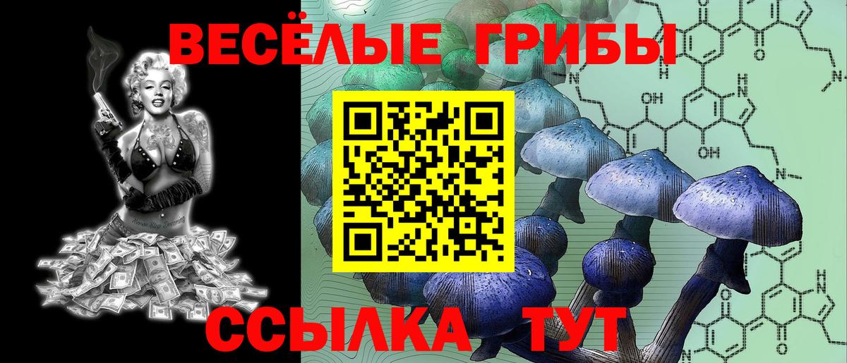 Псилоцибиновые грибы Psilocybe  Вход с VPN  Галлюциногенные грибы мицелий  Шатура 